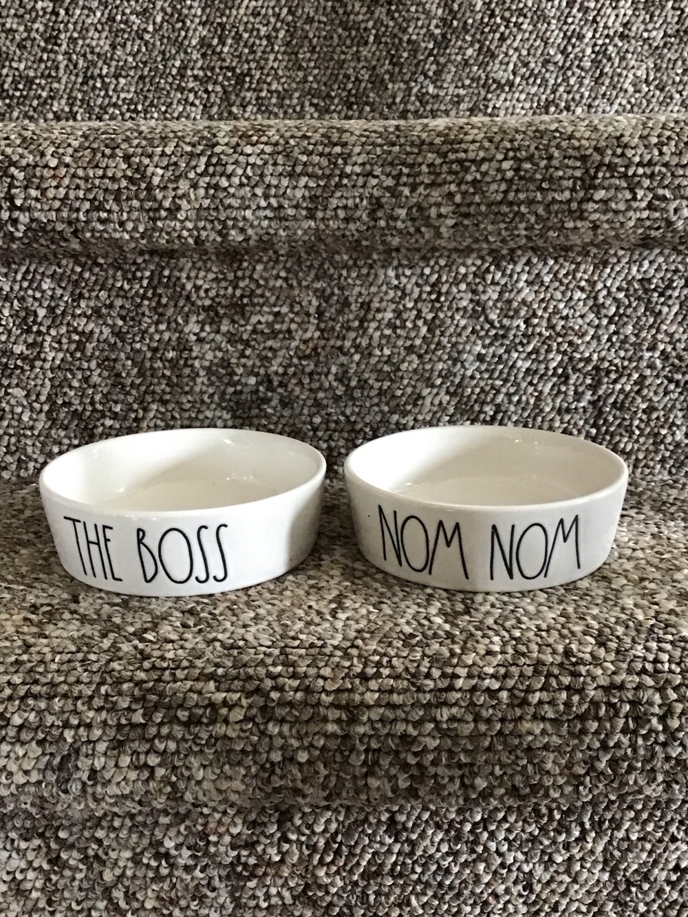 Set of 2 Rae Dunn small dog dishes